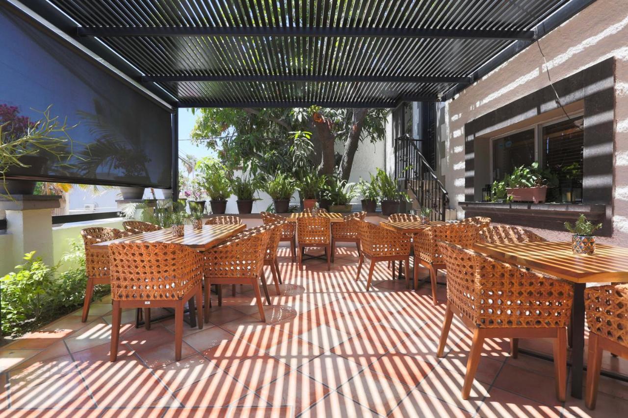 Hotel Posada Terranova San José del Cabo Exteriér fotografie
